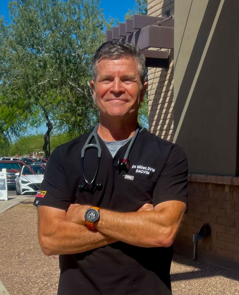 Dr. Matthew Miller, DVM, DACVIM (Cardiology), veterinary cardiologist