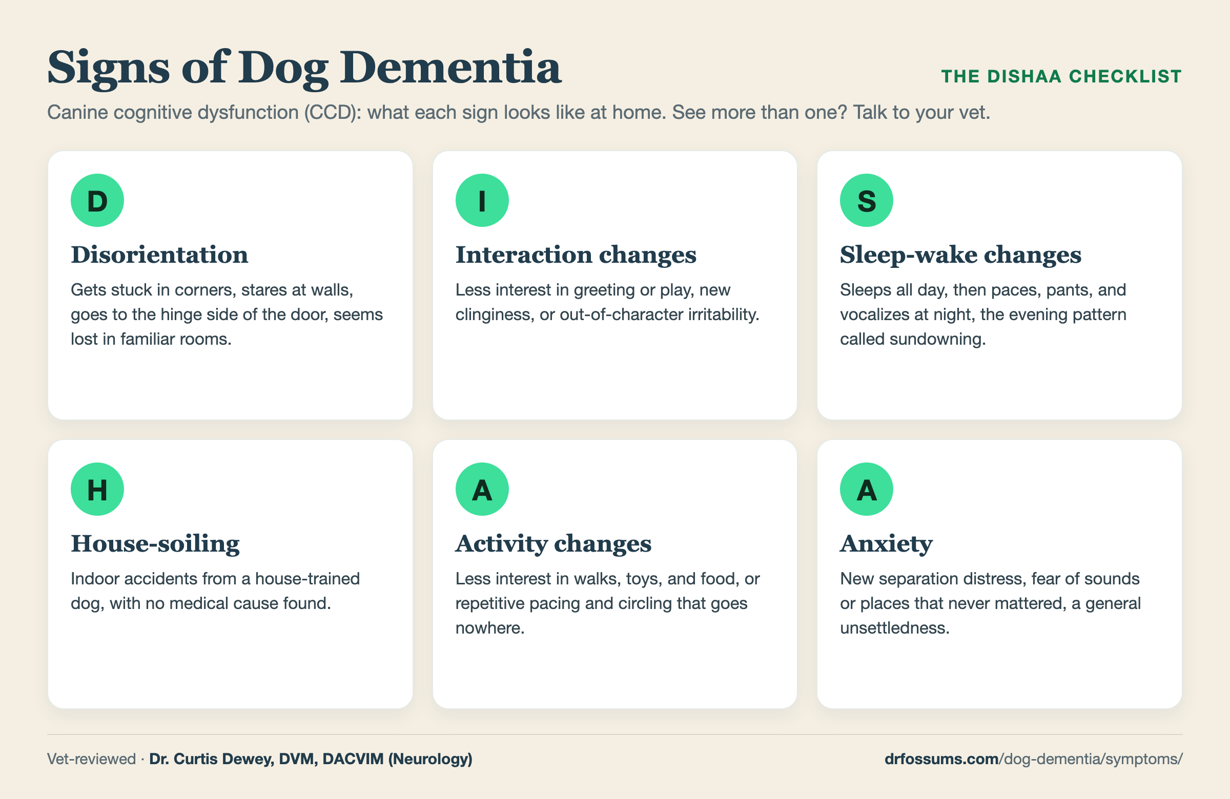 Signs of dog dementia: the DISHAA checklist infographic (disorientation, interaction changes, sleep-wake changes, house-soiling, activity changes, anxiety)