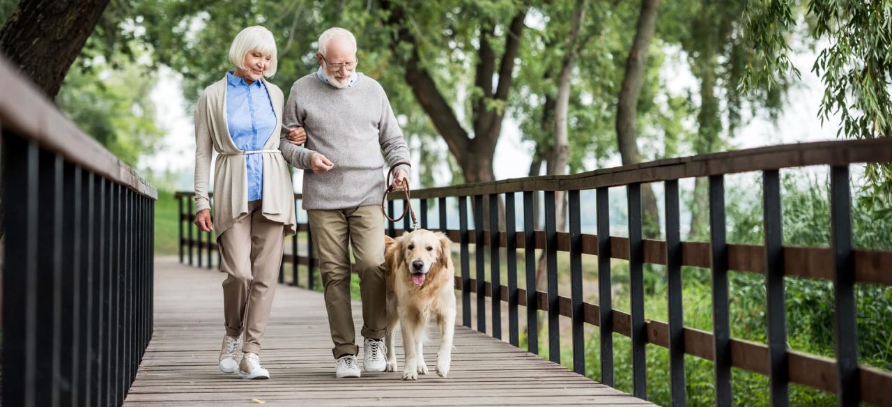 Older couple walking their dog across a wooden footbridge